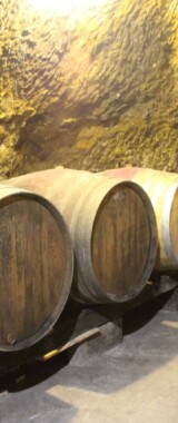 cave_baique_rosé_fut_isabelle_suire_saumur