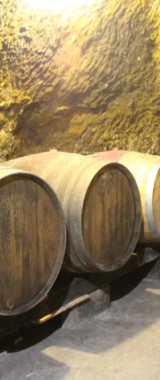 cave_baique_rosé_fut_isabelle_suire_saumur